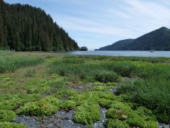 Yalik Bay