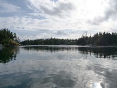Bargain Bay