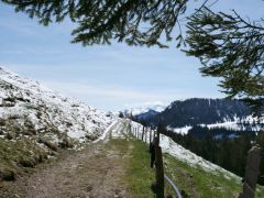 Rigi