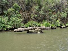 Rio Yuma