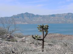 Isla San Francisco