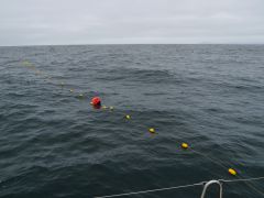 Fischernetz