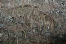 Rawhiti Cave