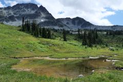 Whistler