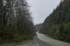 Winter Harbour Road