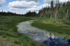 entlang Cariboo Highway BC 97