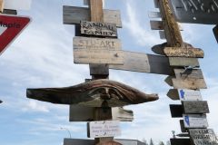 Sign Post Forest Watson Lake