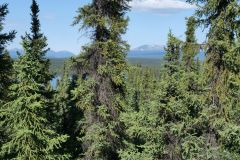 Finlayson Lake