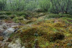 North Klondike Trail