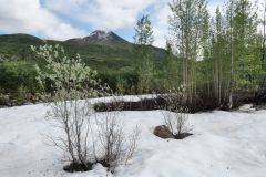 North Klondike Trail