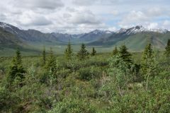 Dempster Hwy