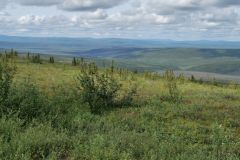Dempster Hwy