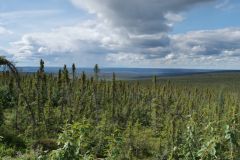 Dempster Hwy