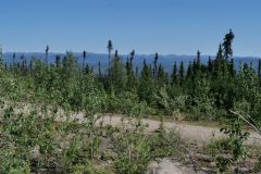 Eagle Plains