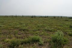 Dempster Hwy