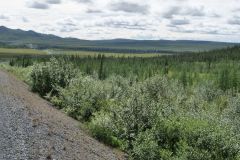 Dempster Hwy