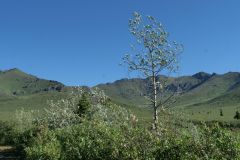 Dempster Hwy