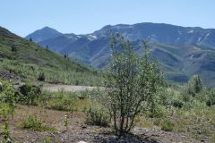 North Fork Pass