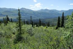 Grizzly Lake Trail