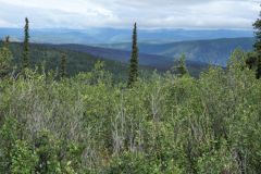 Top of the World Hwy