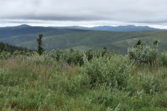 Top of the World Hwy