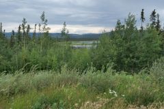 Alaska Hwy