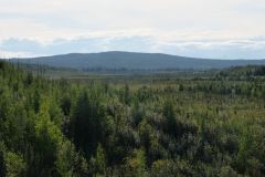 Dalton Hwy
