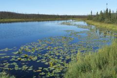 Dalton Hwy