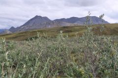 Dalton Hwy Calbraith Camp