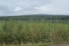 Dalton Hwy